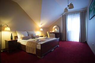 Отель Hotel Karino Spa Полянчик Двухместный номер с 1 кроватью или 2 отдельными кроватями-3